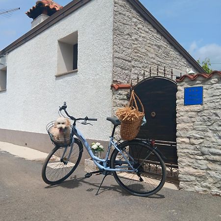 Authentic Istria&Pet Friendly Apartment Banko Near Rovinj Kanfanar Zewnętrze zdjęcie