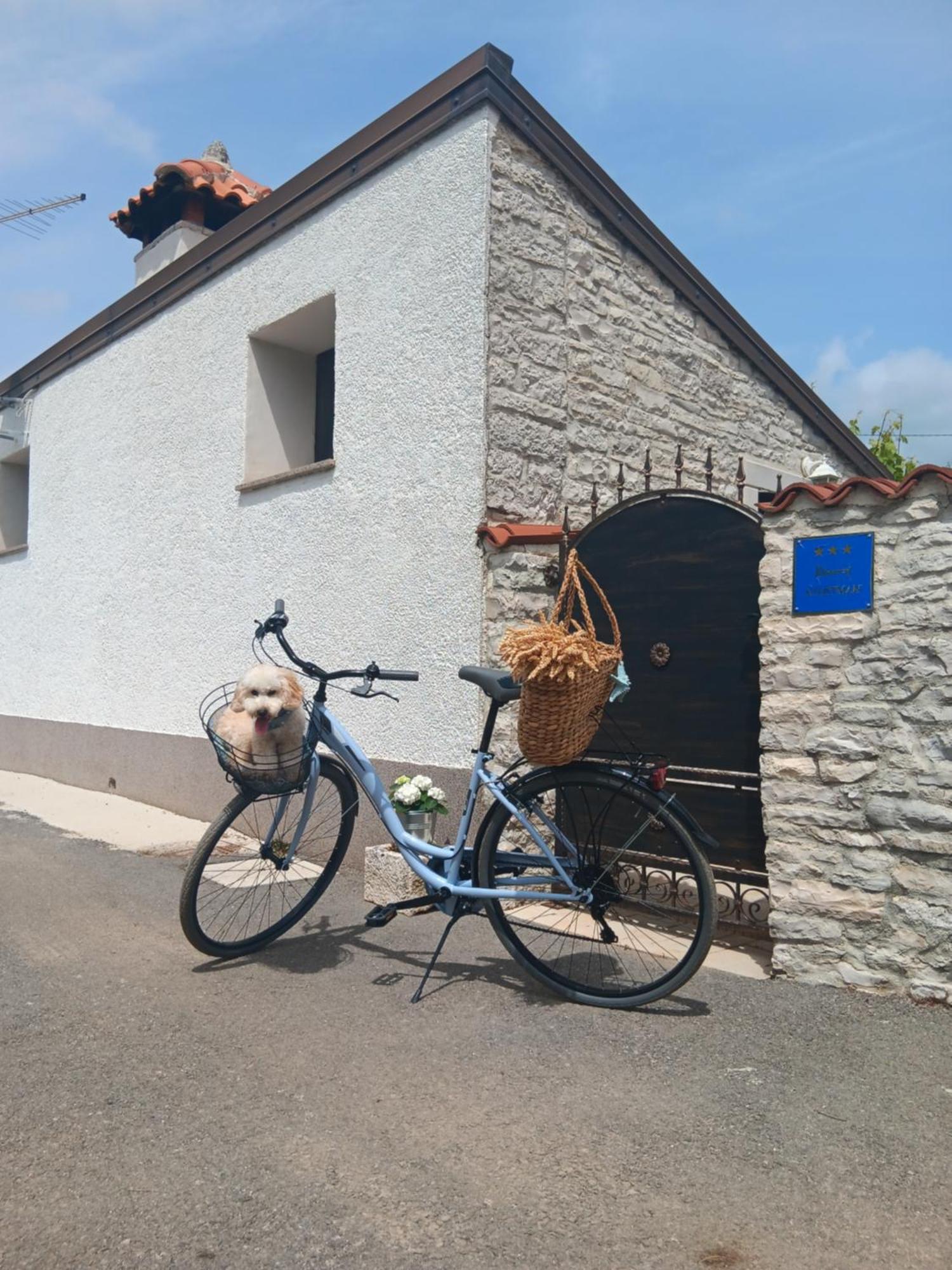 Authentic Istria&Pet Friendly Apartment Banko Near Rovinj Kanfanar Zewnętrze zdjęcie