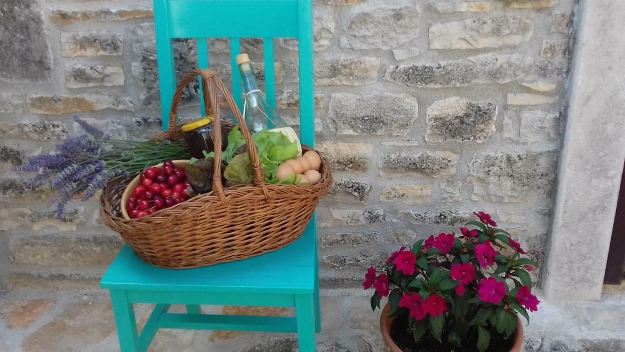Authentic Istria&Pet Friendly Apartment Banko Near Rovinj Kanfanar Zewnętrze zdjęcie