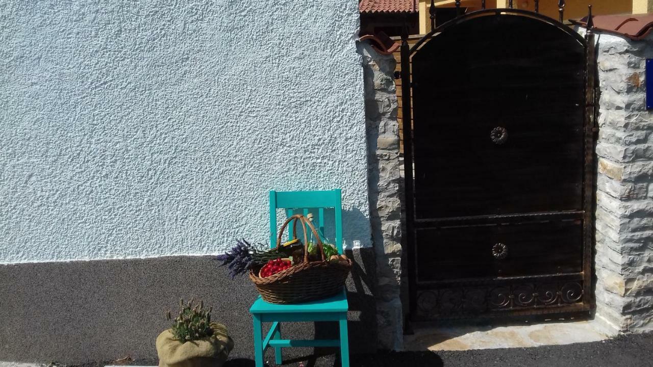Authentic Istria&Pet Friendly Apartment Banko Near Rovinj Kanfanar Zewnętrze zdjęcie