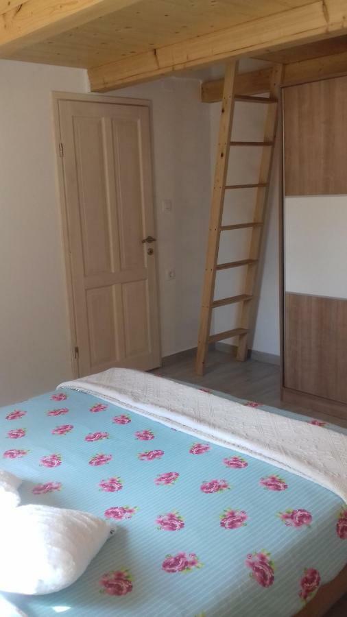 Authentic Istria&Pet Friendly Apartment Banko Near Rovinj Kanfanar Zewnętrze zdjęcie