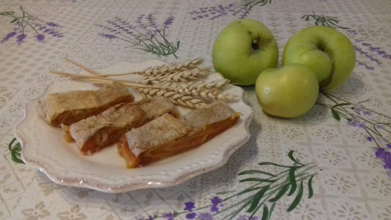 Authentic Istria&Pet Friendly Apartment Banko Near Rovinj Kanfanar Zewnętrze zdjęcie